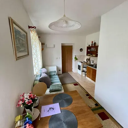 Nadherny Klidny S Infrasaunou Lejlighed Vysoké nad Jizerou